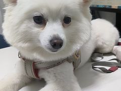 -科道动物医院·急重症中心(万达院)