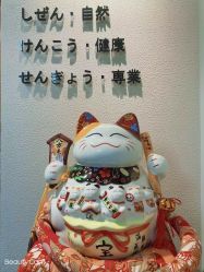 -一本X目奈子日式单根美睫专业店