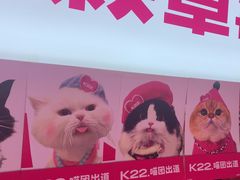 -K22.酸奶草莓(烟台芝罘店)