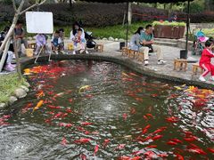 -成飞公园