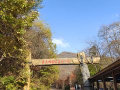 -五女峰国家森林公园