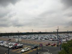 -迪士尼乐园停车场