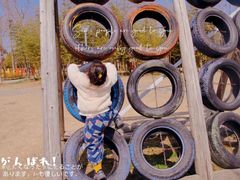 -前小桔亲子创意农场·草莓采摘·露营烧烤