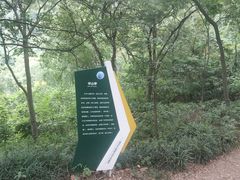 -南京老山国家森林公园