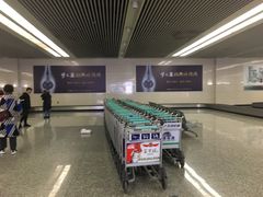 -石家庄正定国际机场-T2航站楼