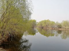 -长白岛森林公园