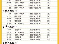 -枫花园汽车电影院(朝阳公园店)