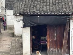 -丝绸小镇荻港古村