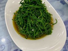 炝拌沙葱-老毛手抓·盐池滩羊非遗手抓(宁夏总店)