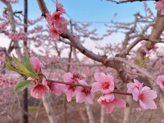 -河口景区
