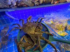 -海悦港蒸汽海鲜·和牛火锅自助餐厅