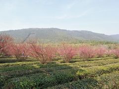 -苏州环秀晓筑养生度假村