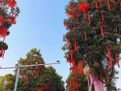 -武汉园博园(武汉自然博物馆)
