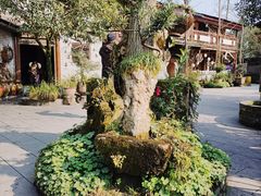 -青城甲(青城山店)