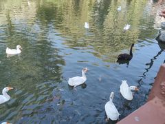 -天毓山庄·餐厅