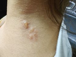 -苏州大学附属儿童医院(园区总院)