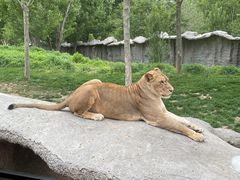 -北京野生动物园