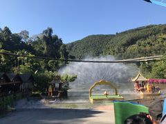 -西双版纳原始森林公园