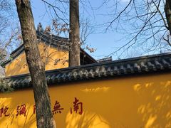 -灵谷景区
