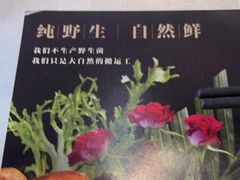 -名善山珍·野生菌汤锅(文殊院店)