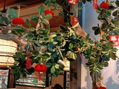 -绿茶餐厅(广州天河城店)