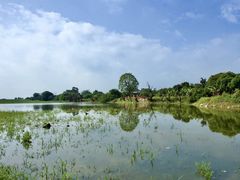 -鹤之洲湿地公园