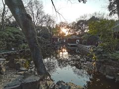 -秋霞圃