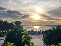 -宝安西湾红树林湿地公园