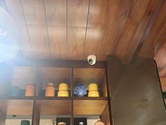 -三强鸽子(胜利路店)