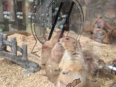 -珠海海泉湾神秘岛亲子乐园