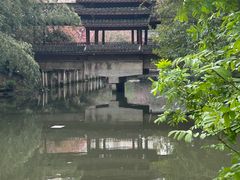 -南汇桃花村