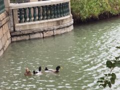 -赤坎·广东华侨国际旅游度假区