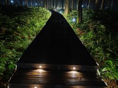 -上海怡沁园度假酒店
