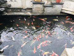 -顺德了能馆(虎门店)