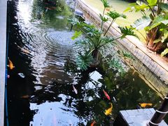 -三亚亚龙湾五号度假别墅酒店