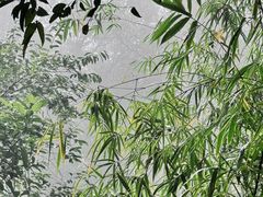 -白云山风景名胜区