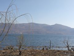-才村湿地公园