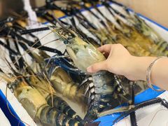 -席娜卡琳火车铁道夜市