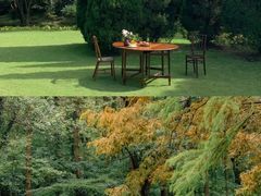 -上海佘山国家森林公园天马山园