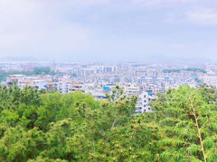 -仙岳公园