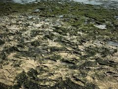 -在海一方公园