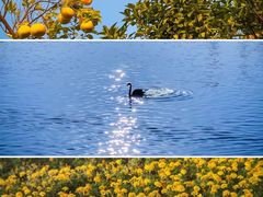 -艾溪湖湿地公园