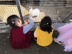 -河北村民俗体验园