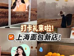 -美罗城