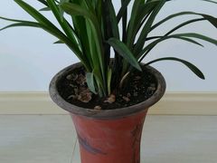 -星达影城(建业街店)