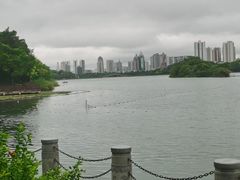 -南宁南湖公园