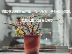 -普兰达德国餐厅·德式脆皮烤猪肘·自酿啤酒(观唐店)