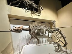 -国家自然博物馆