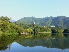 -深圳仙湖植物园