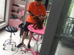 -翊宠yipet猫狗购宠庄园犬舍•猫舍